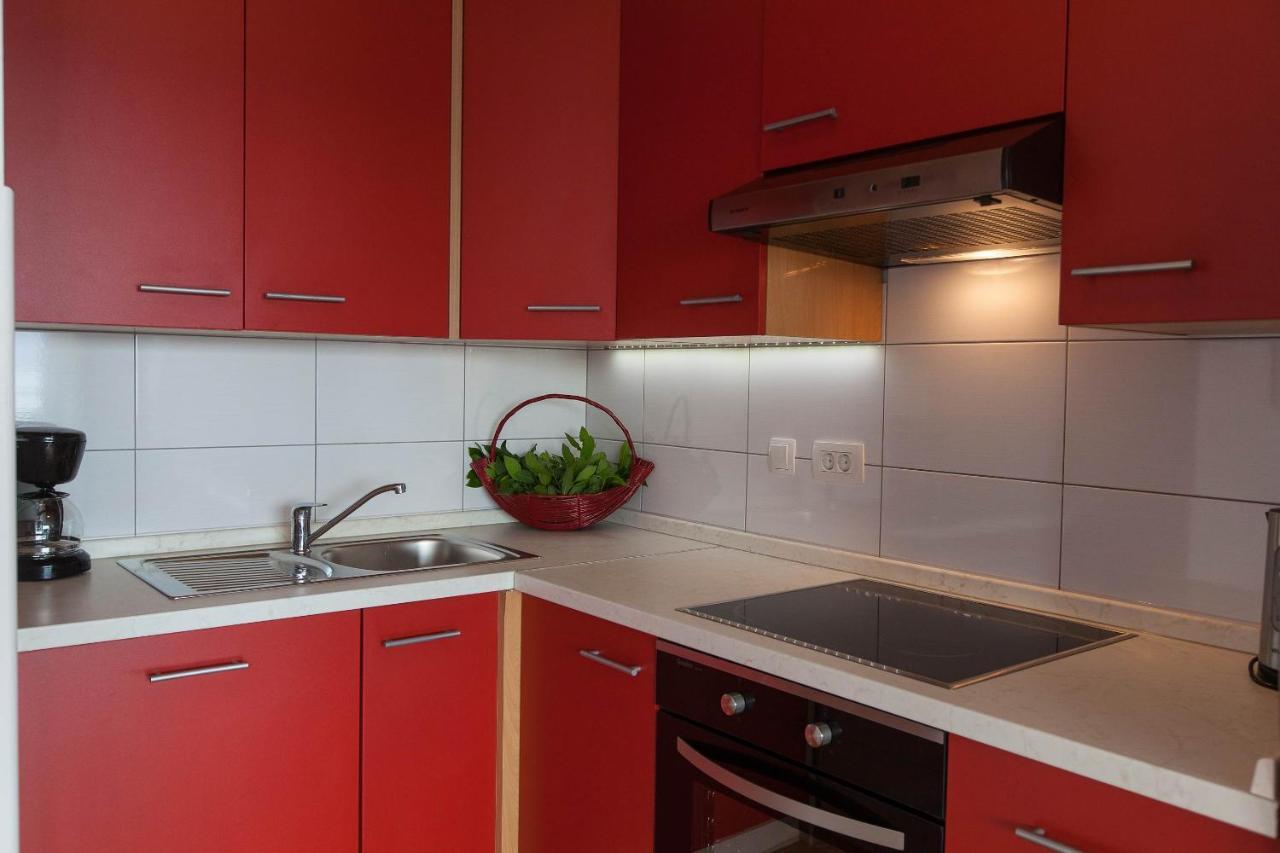 Apartments Vista 诺维·维诺多尔斯基 外观 照片